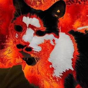 Meet your Posher, Jonathan